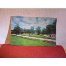 FORBURY GARDENS, READING, Berkshire unused postcard by Dennis dated 1965 =