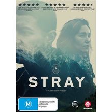 Stray DVD | Region Free
