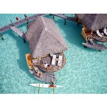 Island Dreams Body Oil[ ]