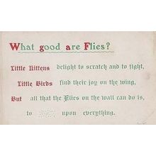 What Good Are Flies Songcard Insect Poem Proverb Kittens Little Birds Postcard