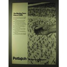1979 Potlatch Corporation Ad - The Working Trees