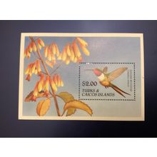 ICOLLECTZONE Turks and Caicos 867 VF NH Birds