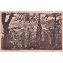 Hoffnungsthal Villen am Berg Luderich Old German Postcard