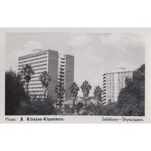 South African Salisbury Island Skyscrapers J Clinton Chambers RPC Photo Postcard