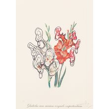 Salvador Dalí Florals Surrealist Flowers 1972 Picture 6 Poster Canvas Movie Film