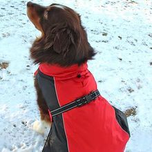 Alpine All-Weather Dog Coat - Red and Black Medium