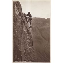 Mounting Climber Finds Birds Eagles Nest in Rocks Old Postcard