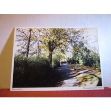 ROPNER PARK, STOCKTON-ON-TEES, Co. DURHAM unused postcard. =
