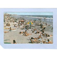 New Jersey Ocean City Beach Scene~563
