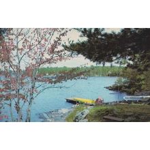 Orillia Fish & Chips James St Street Forest Canadian Kodak Photo Canada Postcard