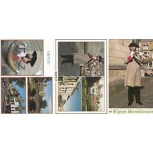 Ripon Hornblower 3x Postcard s