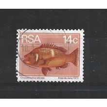 SouthAfrica.SG357 14c Roman Seabream.Fine Used.Sep25h
