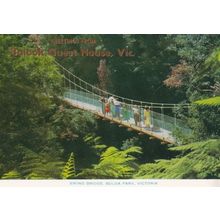 Swing Bridge Bulga Park Victoria Bolook Guest House Postcard