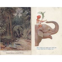 India Sugar Cane Elephant African Hunting Painting 2x Old Postcard s