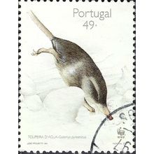 PORTUGAL, MAMMAL, Pyrenean Desman ,Galemys pyrenaicus I, white 1997, 49Esc