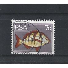 SouthAfrica.SG354 7c Bontrok Seabream.Fine Used.Sep25i