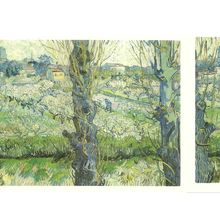 Vincent Van Gogh unused postcard =