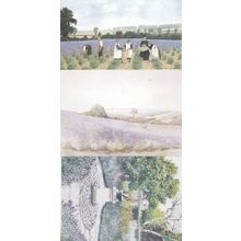 Lavender Field Farm Physio Gardens Sundial Hitchin Harvest 3 Painting Postcard s