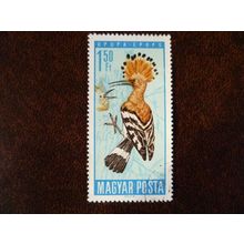 Hungary 1966 Protection of Birds 1fo 50 Hoopoe used stamp SG2188 nature
