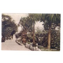 ROCK WALK, TORQUAY, DEVON unused antique postcard by J Welch & Sons