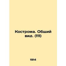 Kostroma. General view. (111) In Russian /Kostroma. Obshchiy vid. (111)