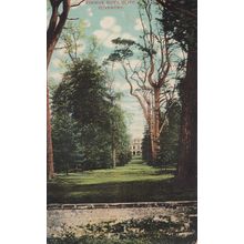 Avenue Guys Cliff Coventry Antique Postcard