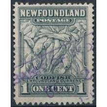 Atlantic Cod: 1c - Newfoundland 1942 - FH - SG 276