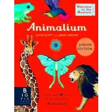 Welcome To The Museum Animalium (Junior Edition)