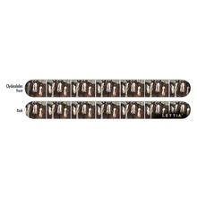 Lettia Nail File- Clydesdales[ ]