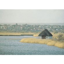 RSPB Radipole Lake Reserve Bedfordshire Postcard