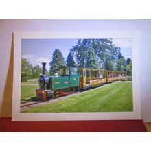 TRAIN "BELLA" , COTSWOLD WILDLIFE PARK, BURFORD unused postcard =