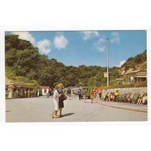 Durley Chine Bournemouth Postcard Dorset 2813