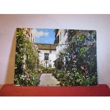 A CORNER OF FLOWERS, SEVILLA, SPAIN used postcard 1984 pm =