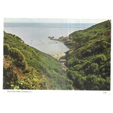 SAINTS BAY VALLEY, GUERNSEY used vintage postcard by Dennis 1984 postmark =