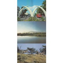 Kenya Mombasa Tusks Cheetahs Courting Mt Kilmajaro 3x Postcard s