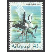 AUSTRALIA 1991: WATERBIRDS - 43c BLACK-NECKED STORK USED (G4)