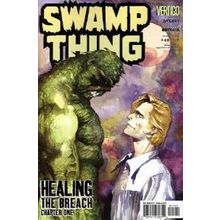 Swamp Thing (Vol 4) # 015 NM MODERN AGE COMICS
