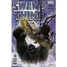 Swamp Thing (Vol 4) # 017 NM MODERN AGE COMICS