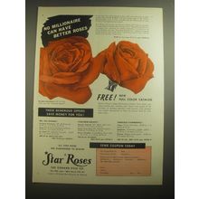 1956 Conard-Pyle Star Roses Ad - No millionaire can have better roses