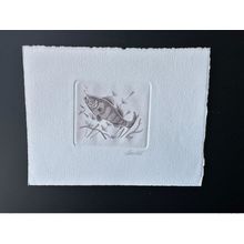 Belgique 1990 COB 2383 Epreuve d'artiste FDC Poisson Fish Fisch Perche brun