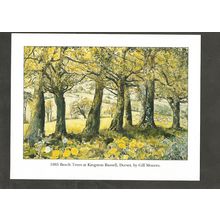 Postcard Dorset Kingston Russell Beech Trees by Gill Moores