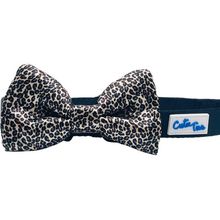 Cutie Ties Dog Bow Tie One Size Leopard Print