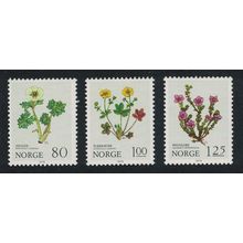 Norway Flowers 3v 1979 MNH SG#851-853 MI#806-808 Sc#754-756
