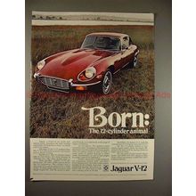 1971 Jaguar V-12 Car Ad - Born: The 12-Cylinder Animal!