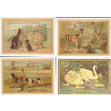 Huntley & Palmers Biscuits Reading London Animals Hunting 4x Postcard s
