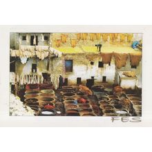 Souk Des Tanneurs Tanners Leather Market Fes Morocco Postcard