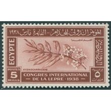 Egypt 1938 5m red-brown Leprosy Congress SG273 unused