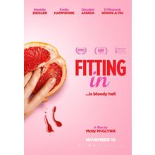 Fitting In (2024)_1 Movie Film Poster Canvas iconic design