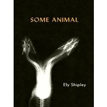 Some Animal by Ely Shipley