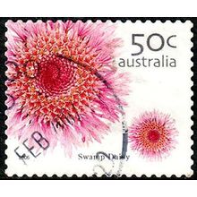 Australia 2005 Flower 50c Used P&S Stamp 12.5 Perf. Swamp Daisy .
